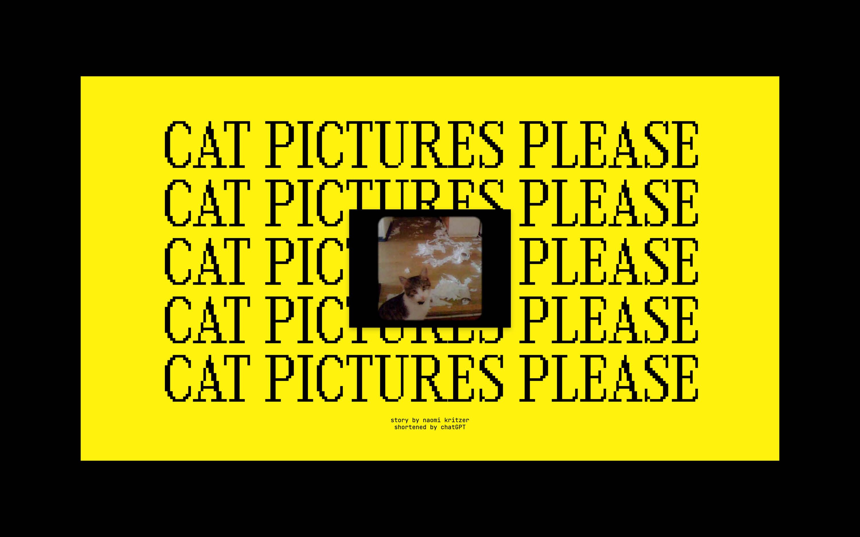 Cat Pictures Pleasethumbnail image