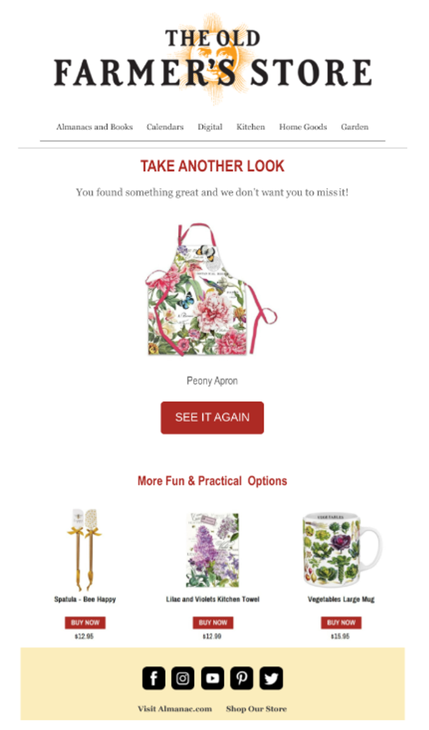 Screenshot of a re-engagement email.