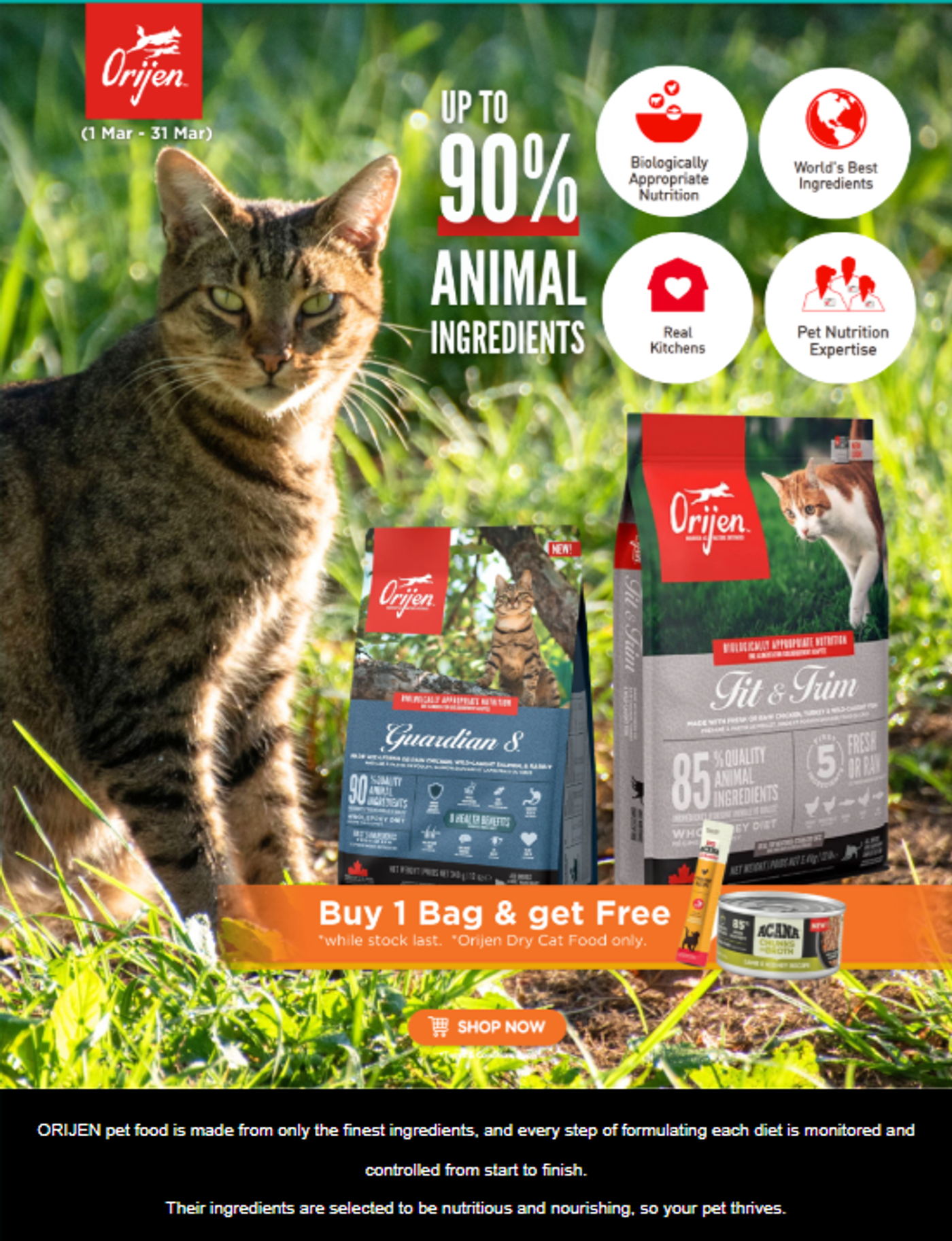 Screenshot of a pet brand that uses automation for email marketing.