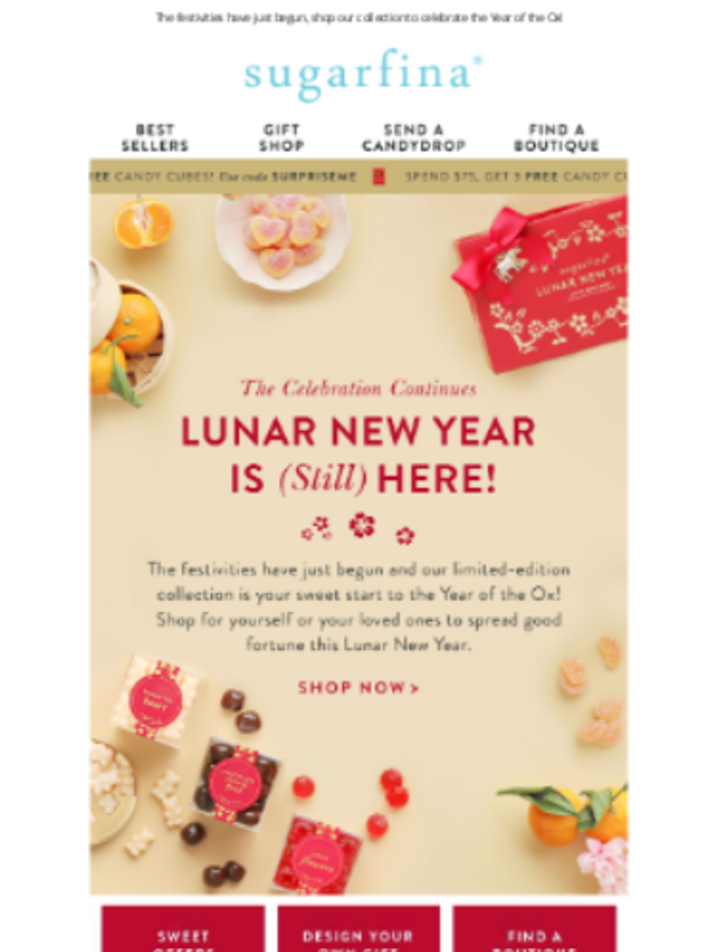 Screenshot of a Lunar New Year marketing email.