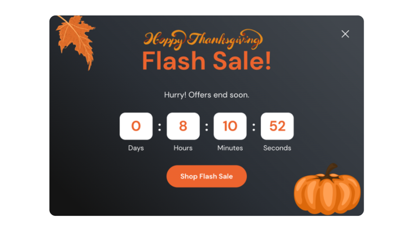 Screenshot of a Thanksgiving flash sale email.