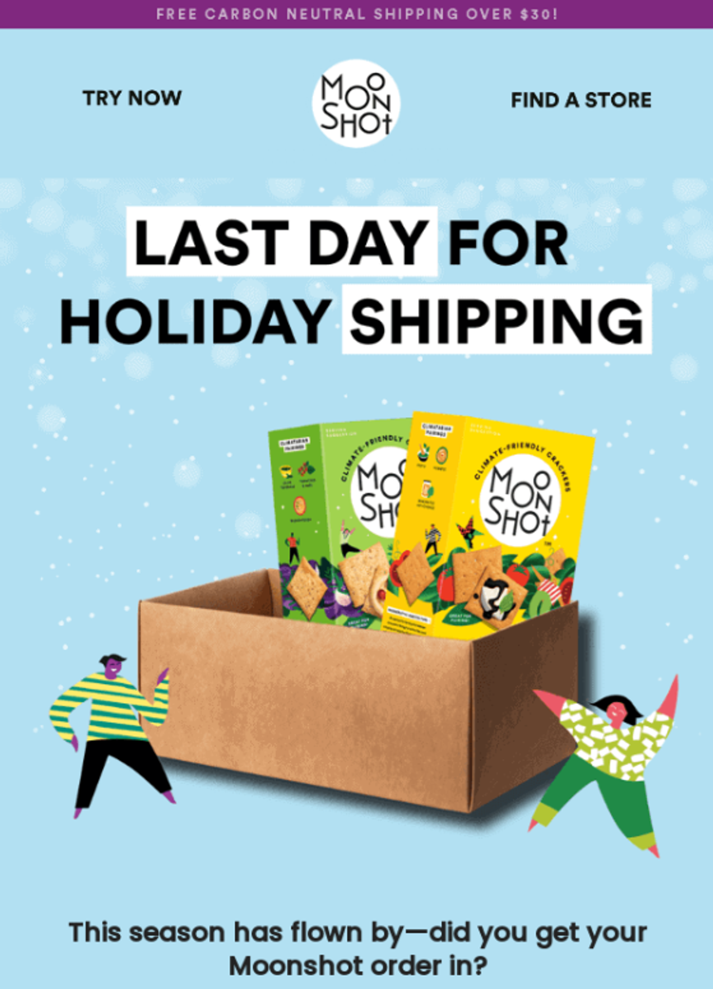 Screenshot of a Christmas last-chance email.