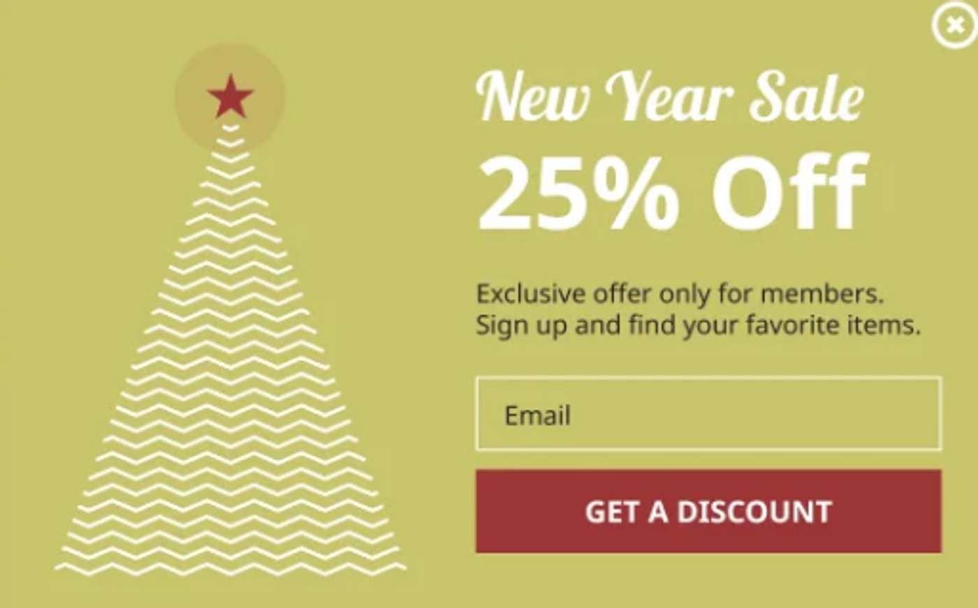 Screenshot of a New Year exclusive subscriber discount email.