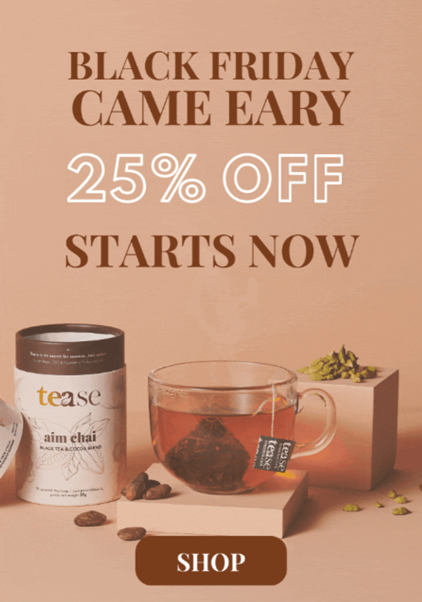 Screenshot of a Black Friday marketing email.