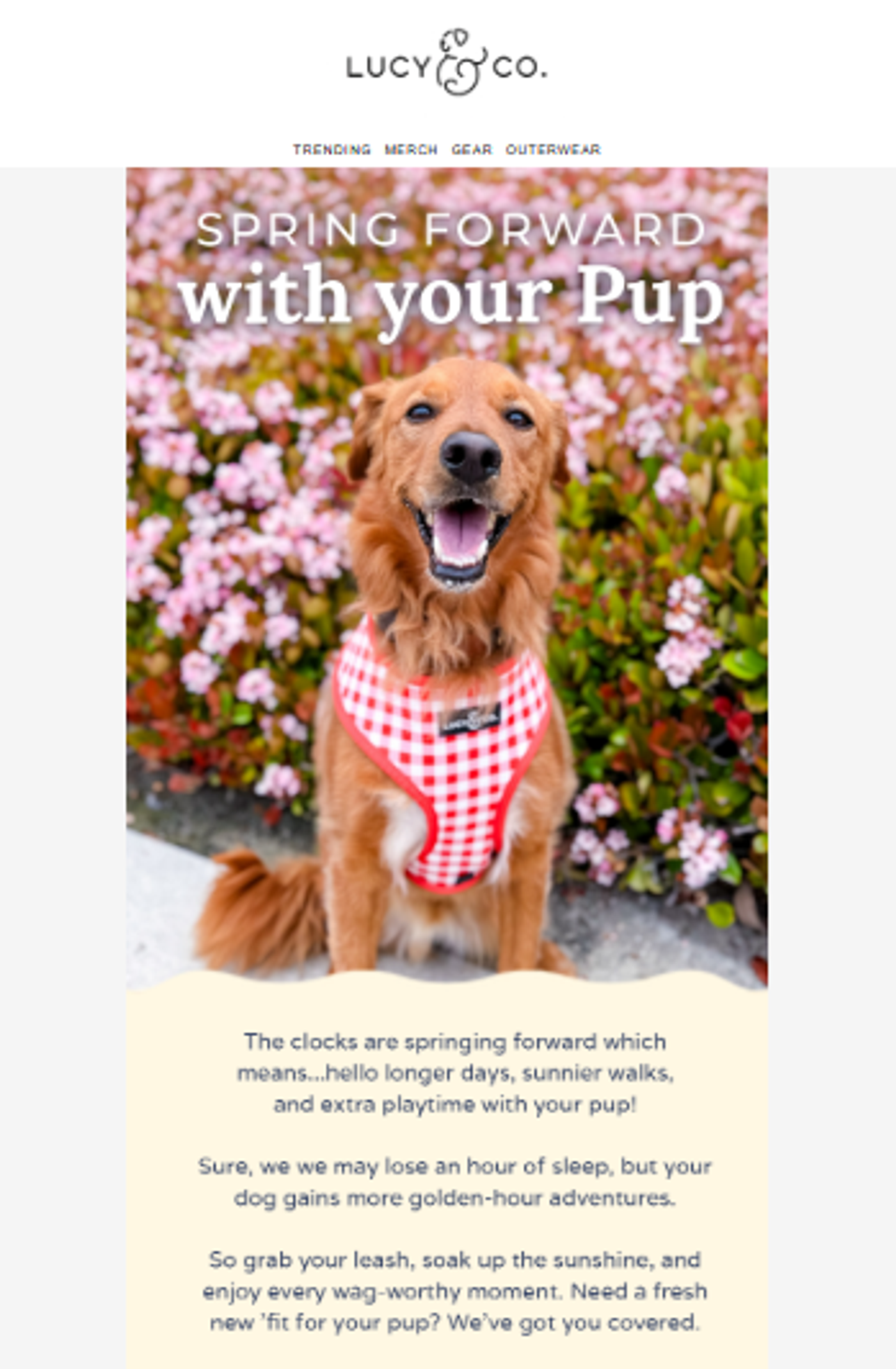 Screenshot of an email for a pet brand launching a campaign for spring.