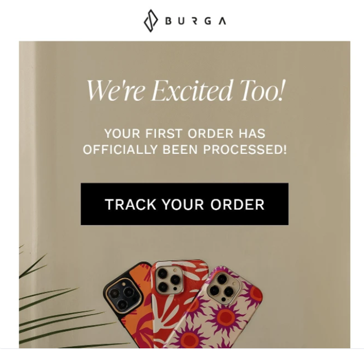 Example of an email offering additional support.