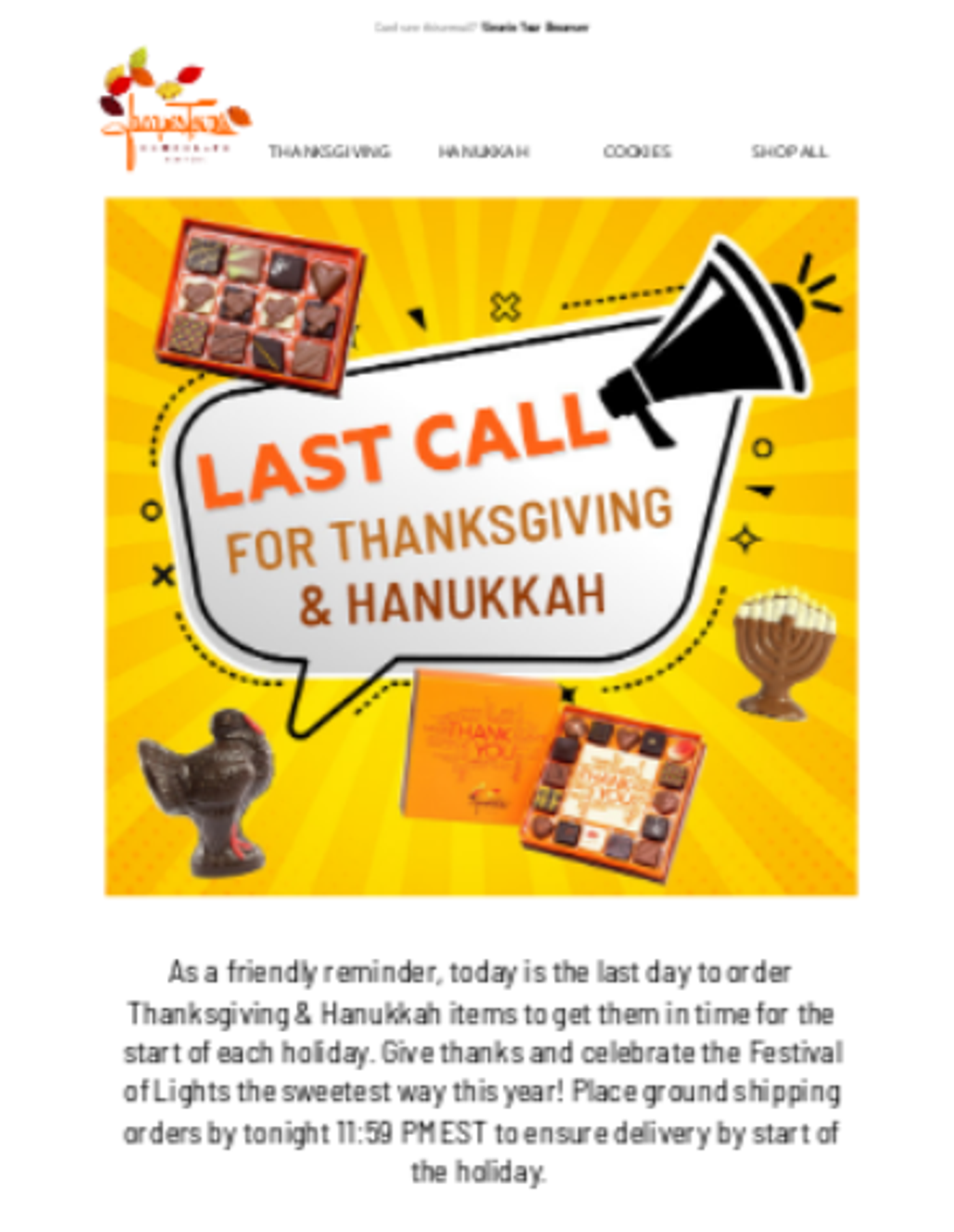 Screenshot of a Hanukkah last-chance email.