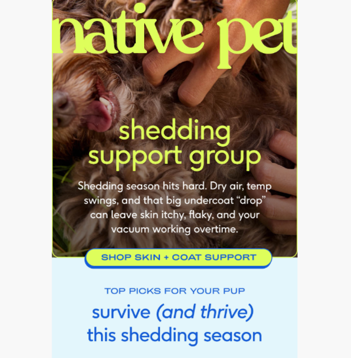 Screenshot of an email promoting a support group for pets.