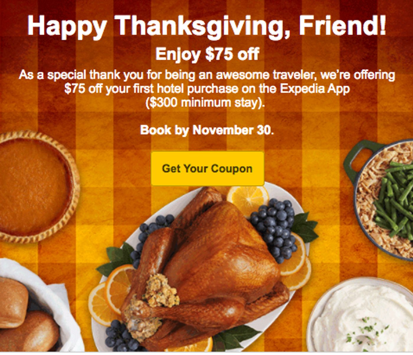 Screenshot of a Thanksgiving sale announcement email.