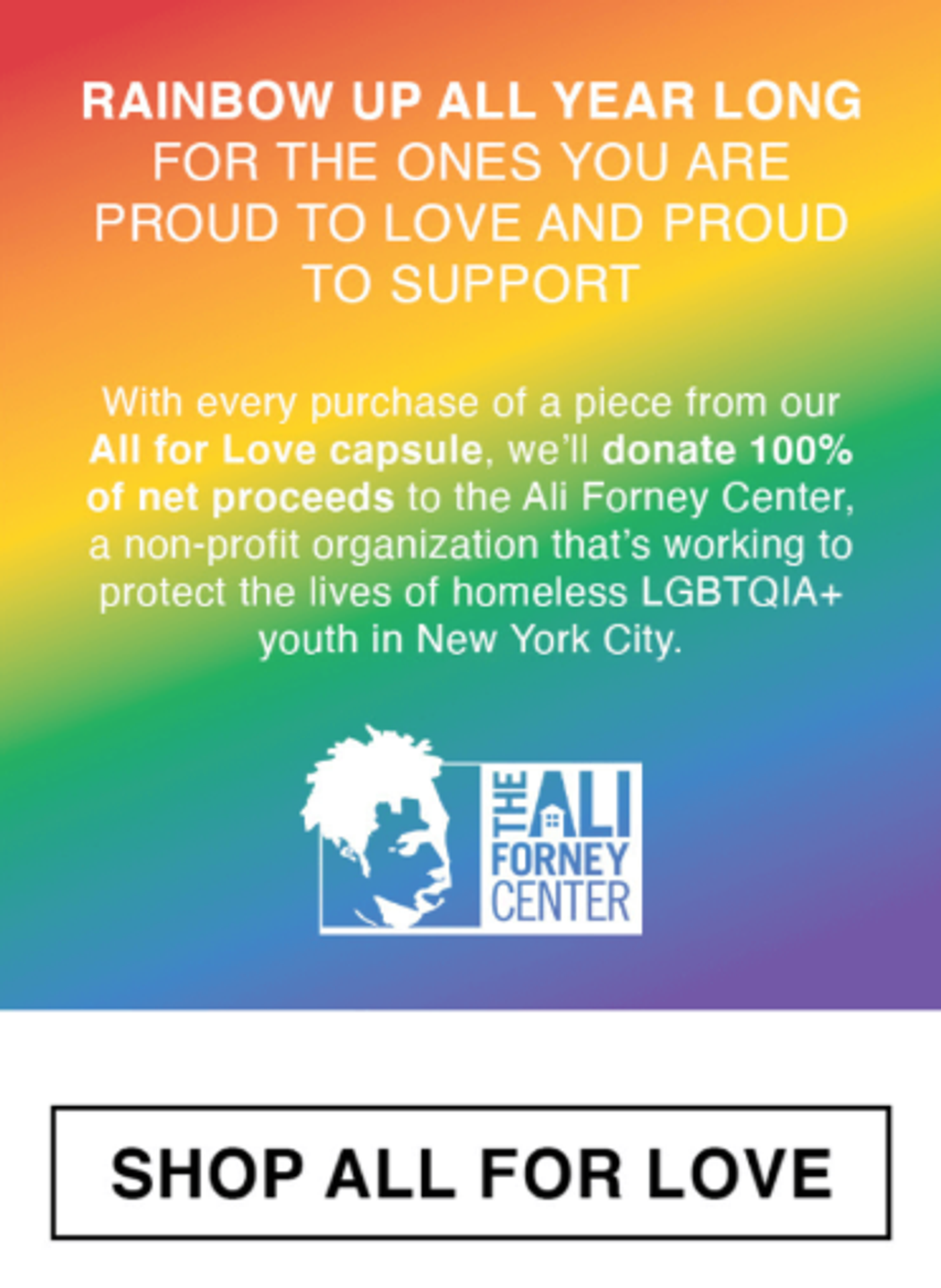 Screenshot of a Pride Month charitable giving email.