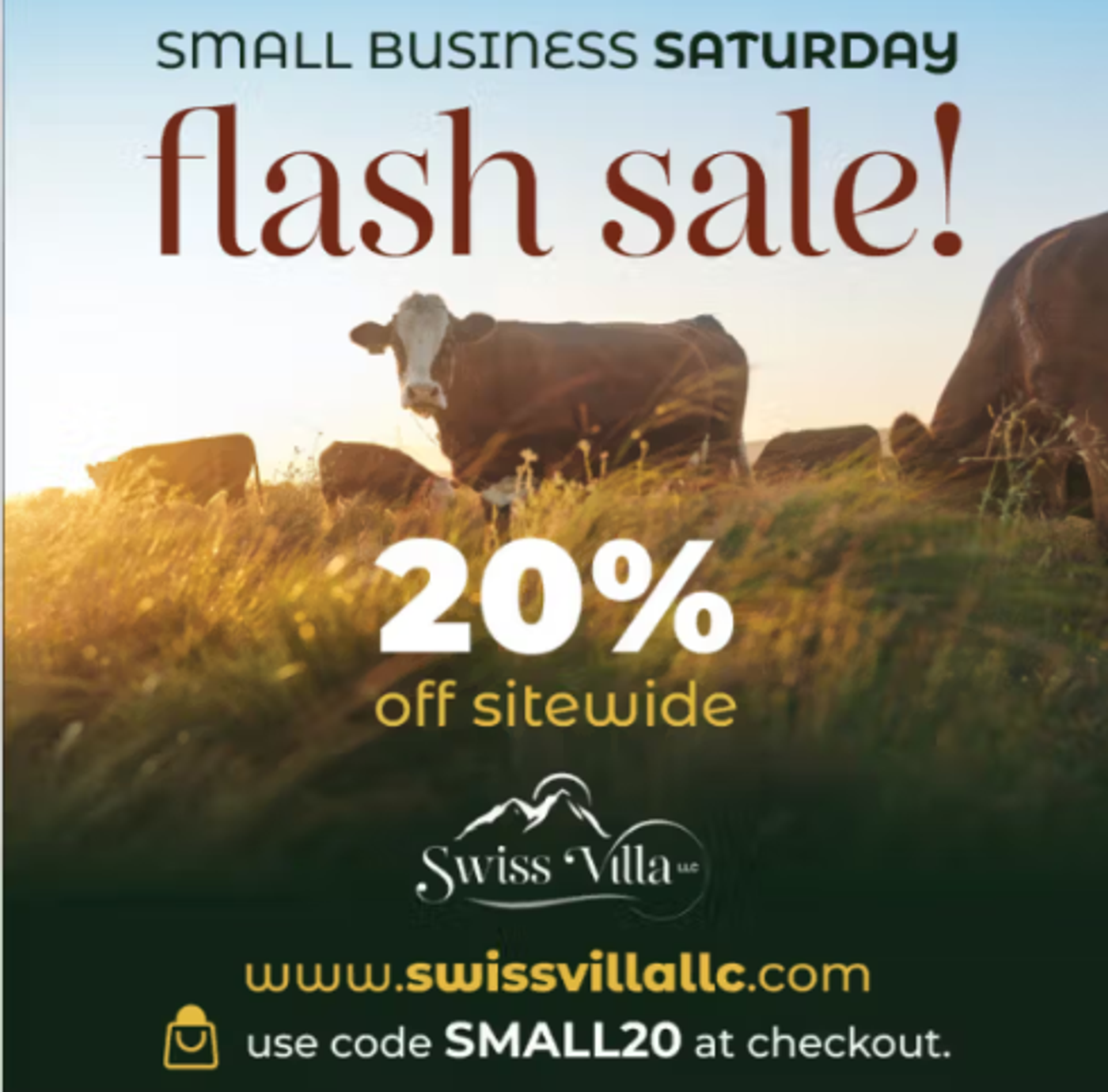 Screenshot of a Small Business Saturday sale email.