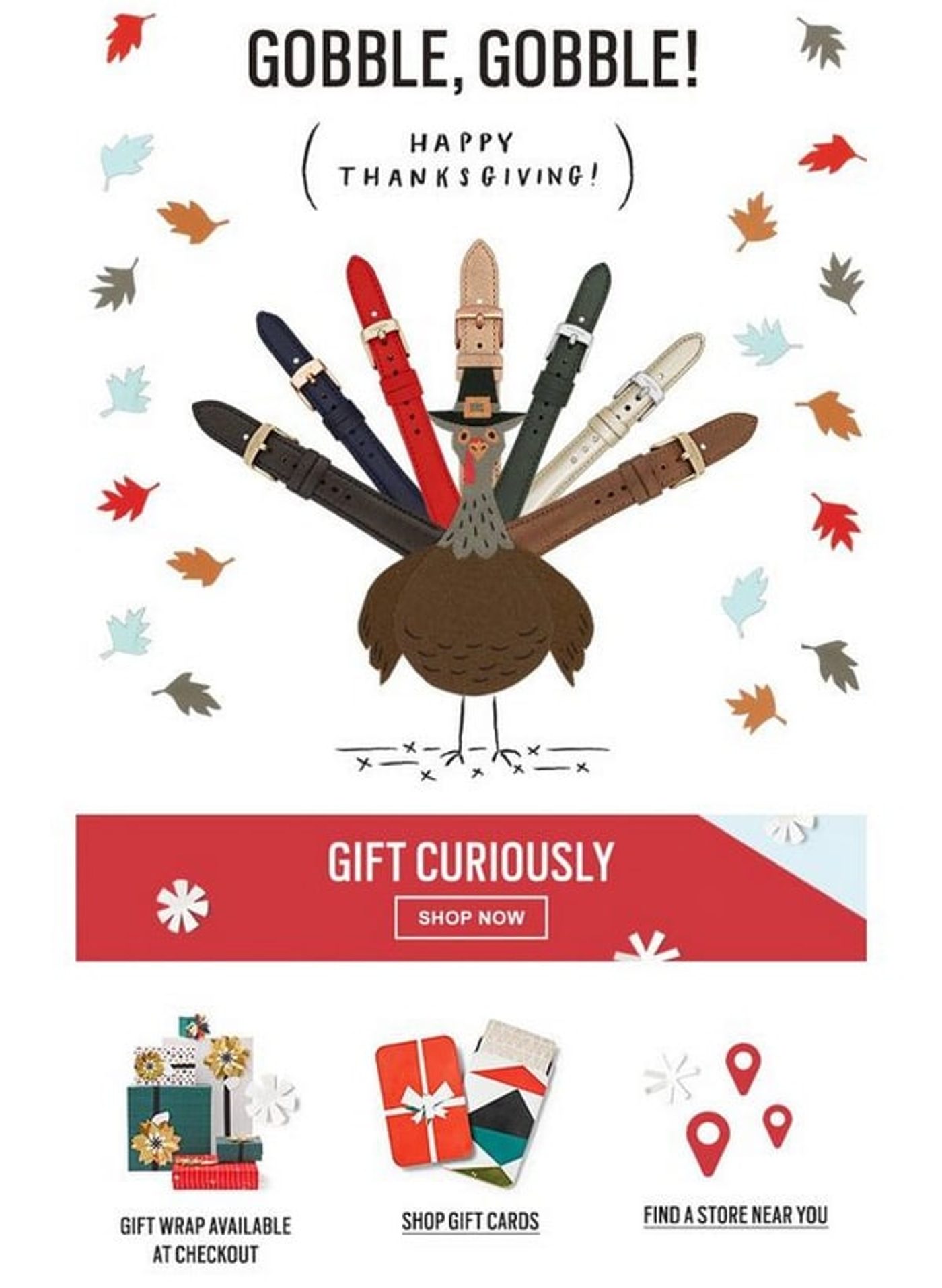 Screenshot of a Thanksgiving marketing email.