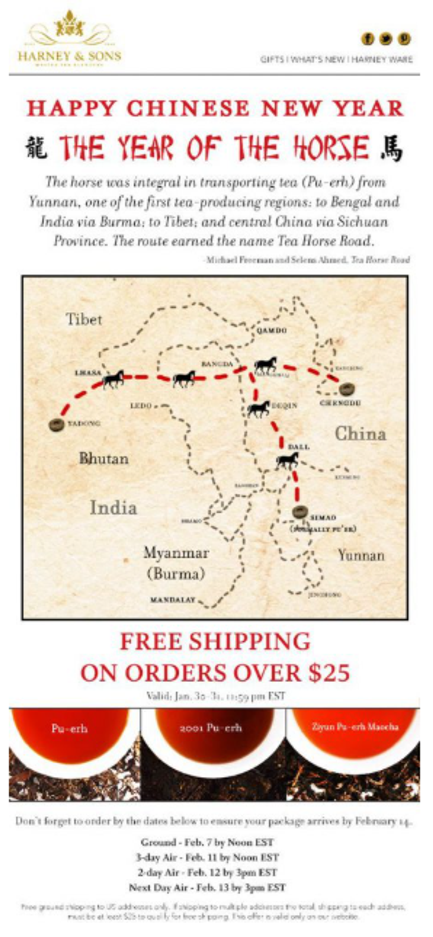 Screenshot of a Lunar New Year free shipping promotion email.