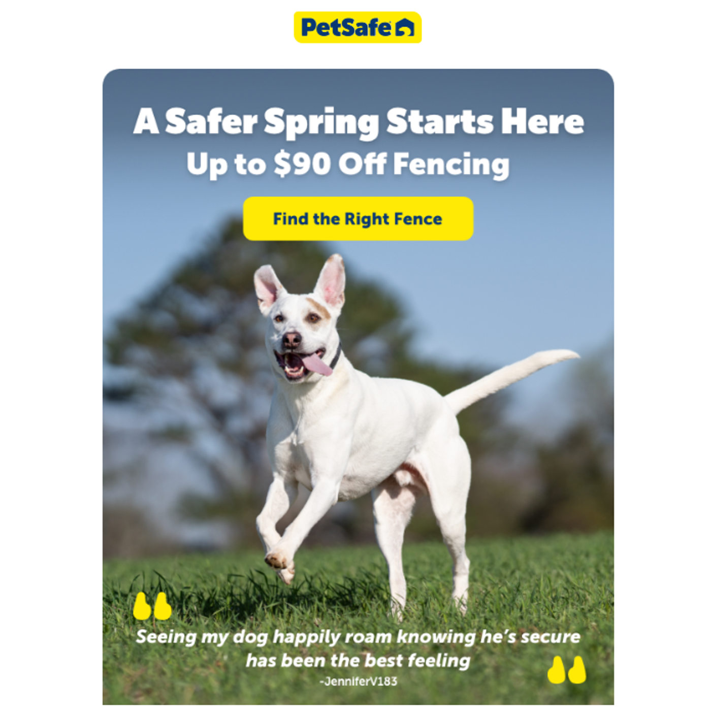 Screenshot of an email from a pet brand.