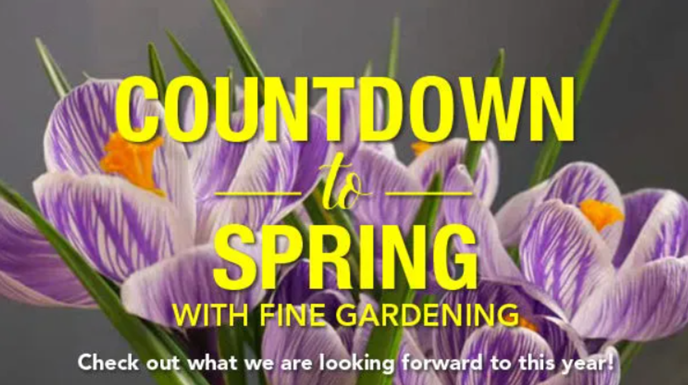 Screenshot of an email that is counting down the days to spring.