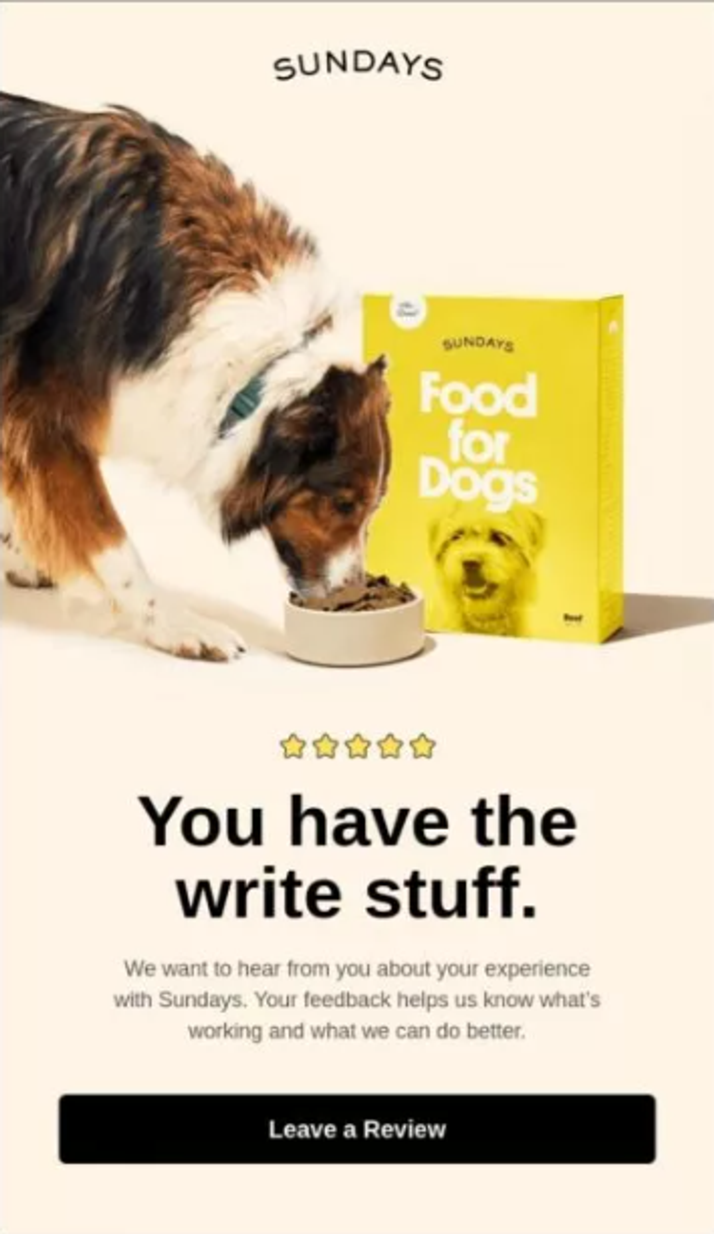 Screenshot of a post-purchase email.
