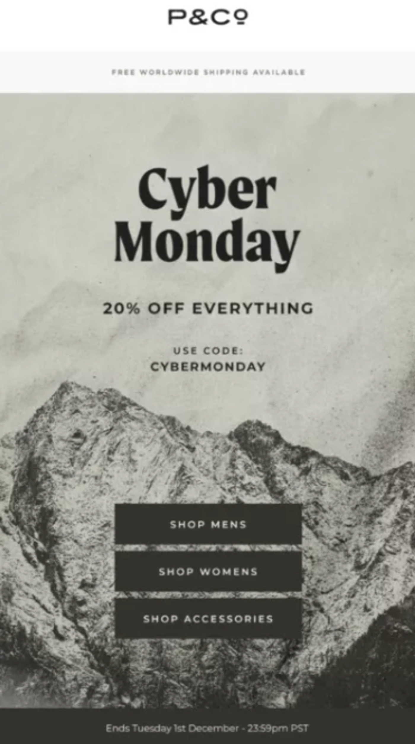 Screenshot of a Cyber Monday flash deal email.
