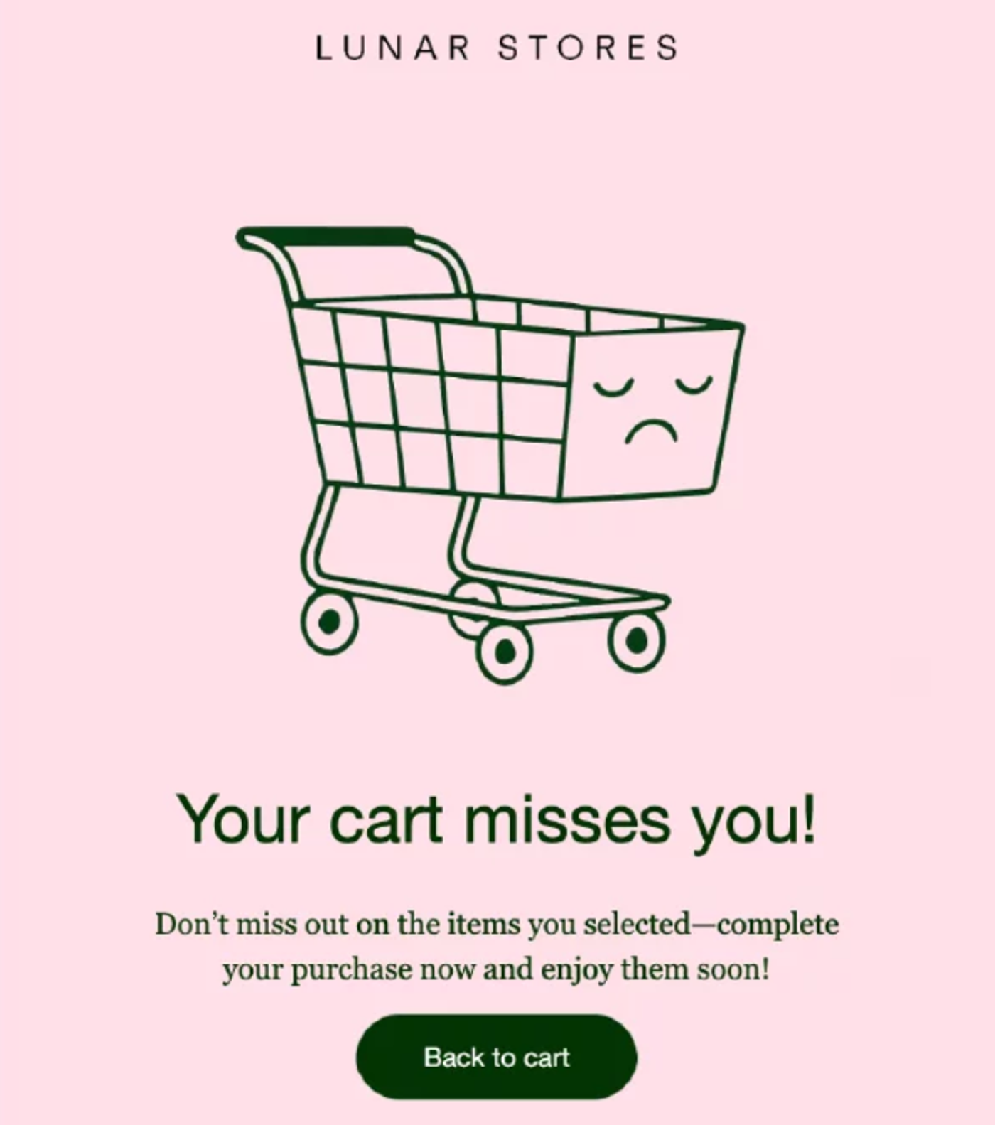 Screenshot of an abandoned cart email.