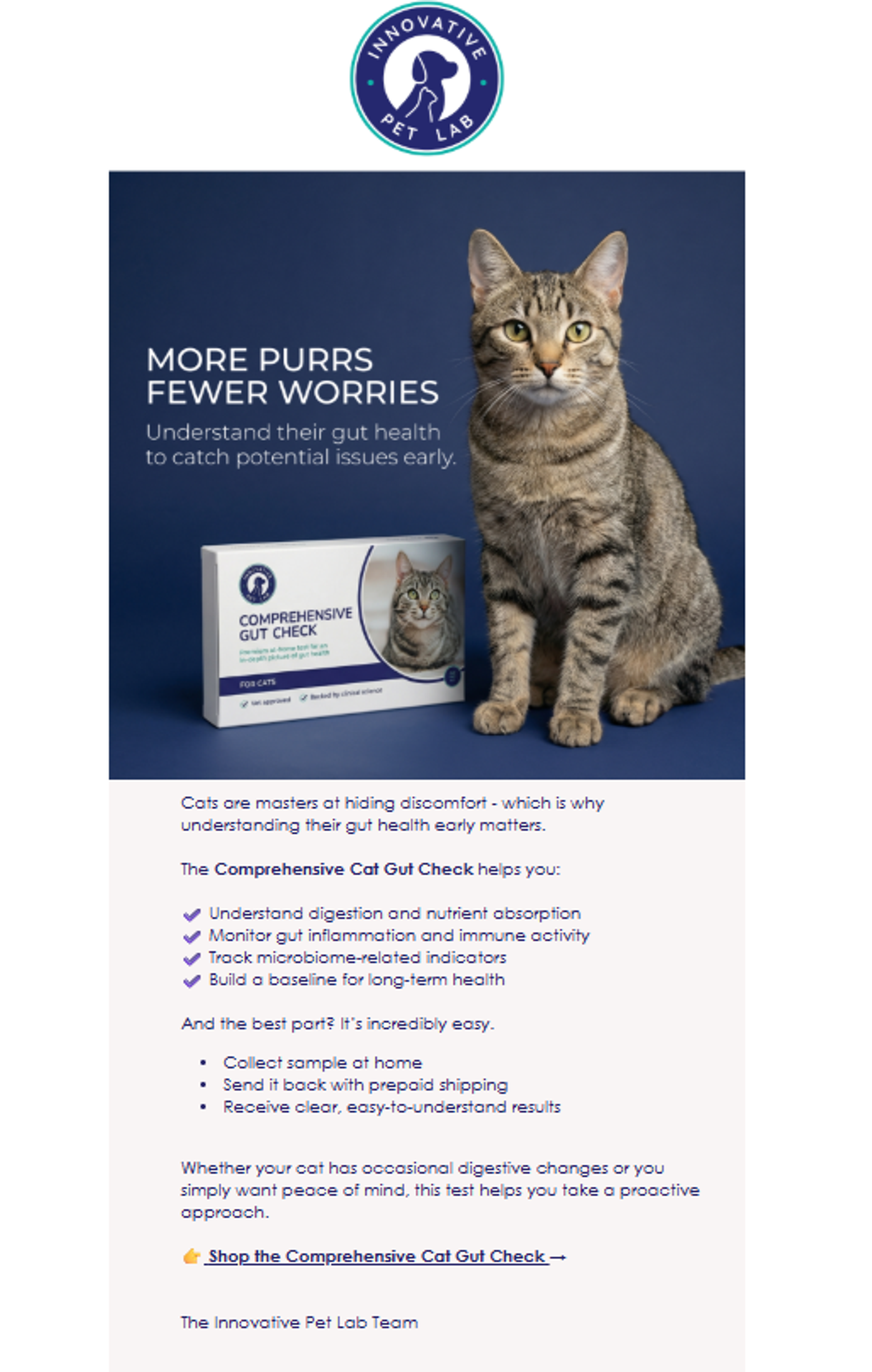 Screenshot of an email for a cat-related brand.