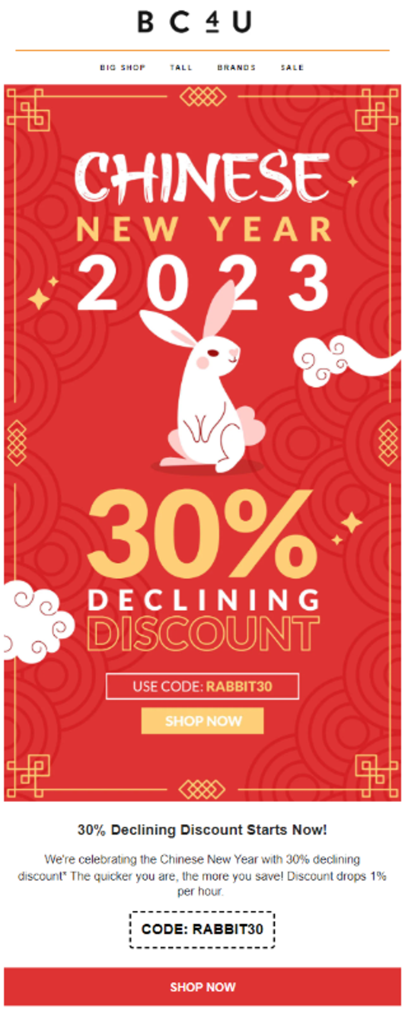 Screenshot of a Lunar New Year sale announcement email.