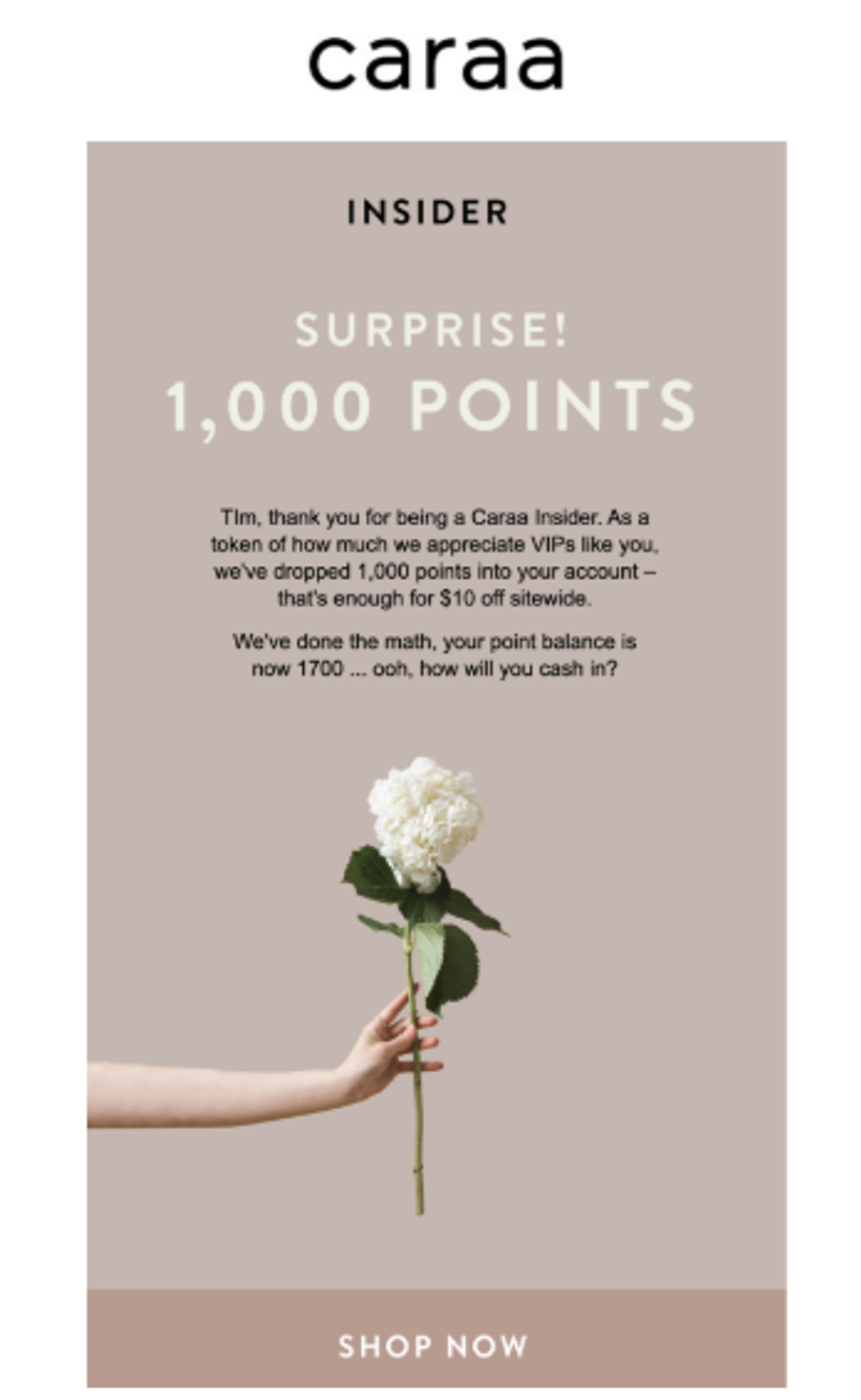 Screenshot of a loyalty email.