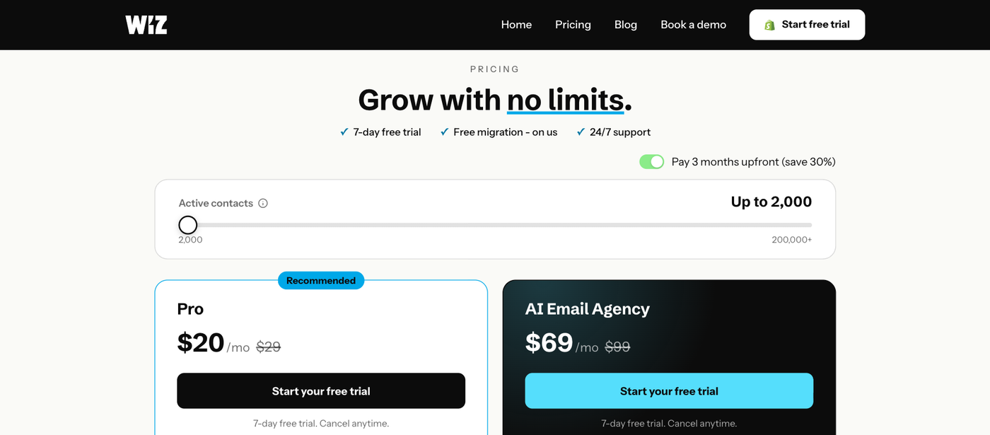 Screenshot of the Wiz pricing page: Pro and AI Email Agency plans, starting at $20 per month.