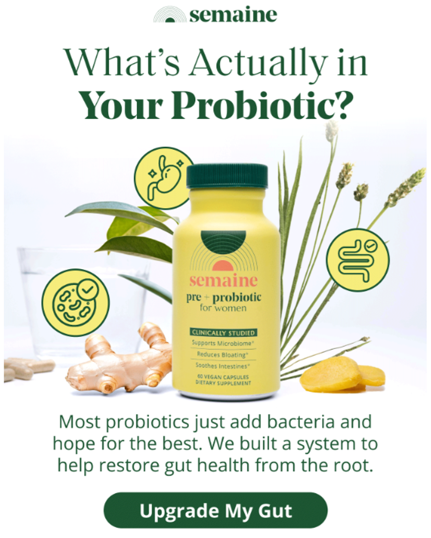Screenshot of an email from a supplements brands that educated the customers about their product and the results.