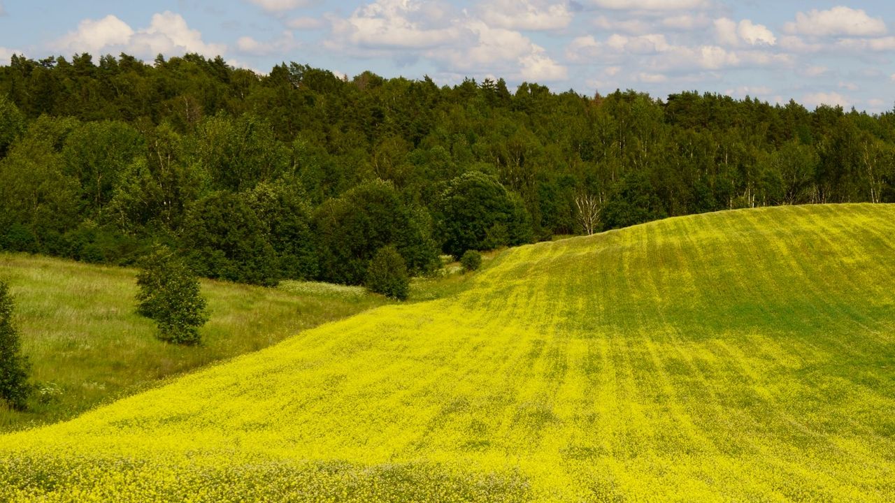 Nauja savaitė su lietumi, bet ežerai jau 25 °C: ko tikėtis po savaitgalio