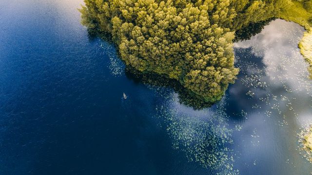 Ežerai jau šyla: kur šį savaitgalį komfortiškiausia maudytis