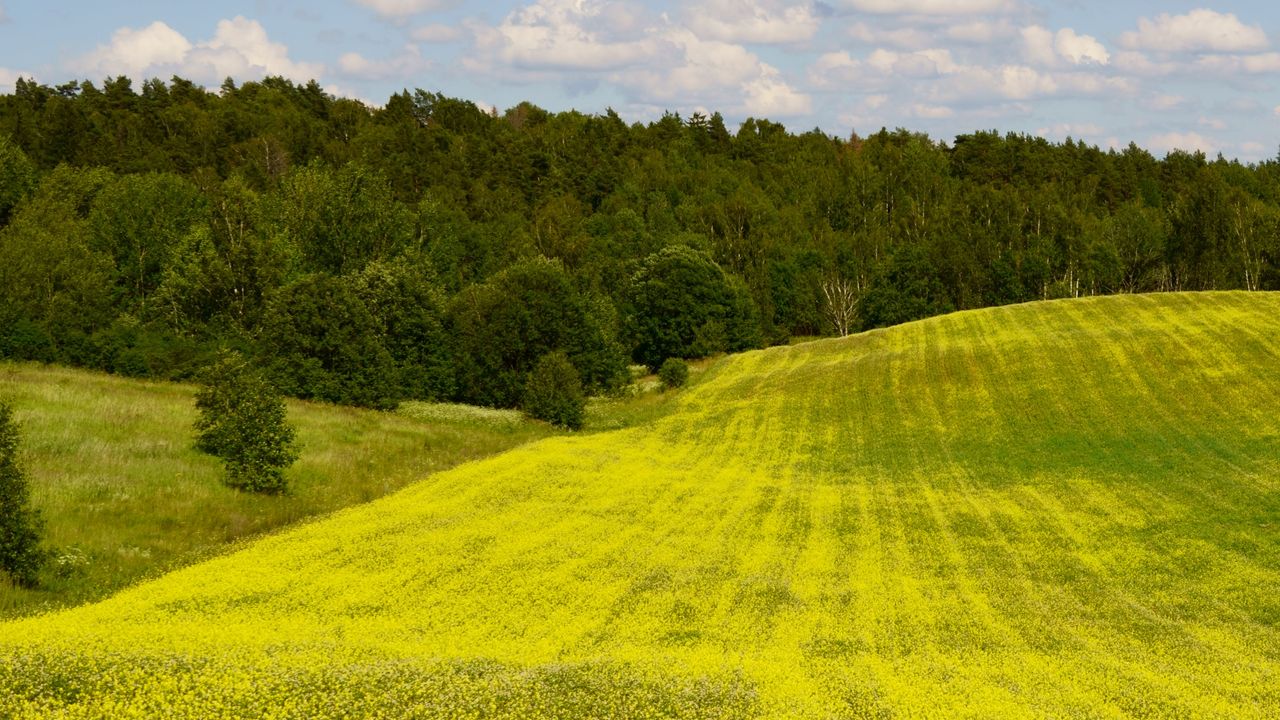 Kaitra atsitraukia: ko tikėtis liepos pradžioje