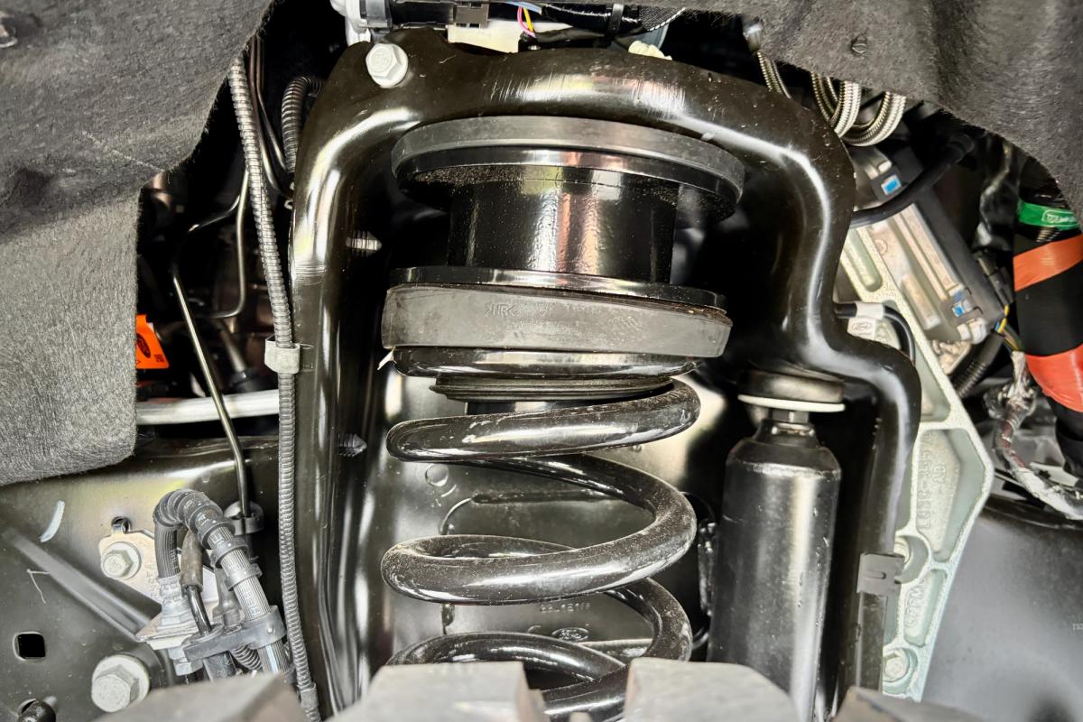 TSport Sportsman Gallery Image 11