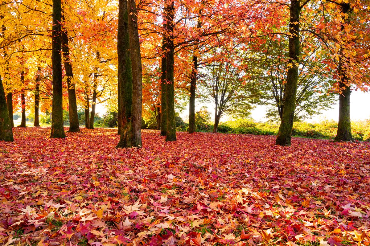 Insights about investments and financial markets