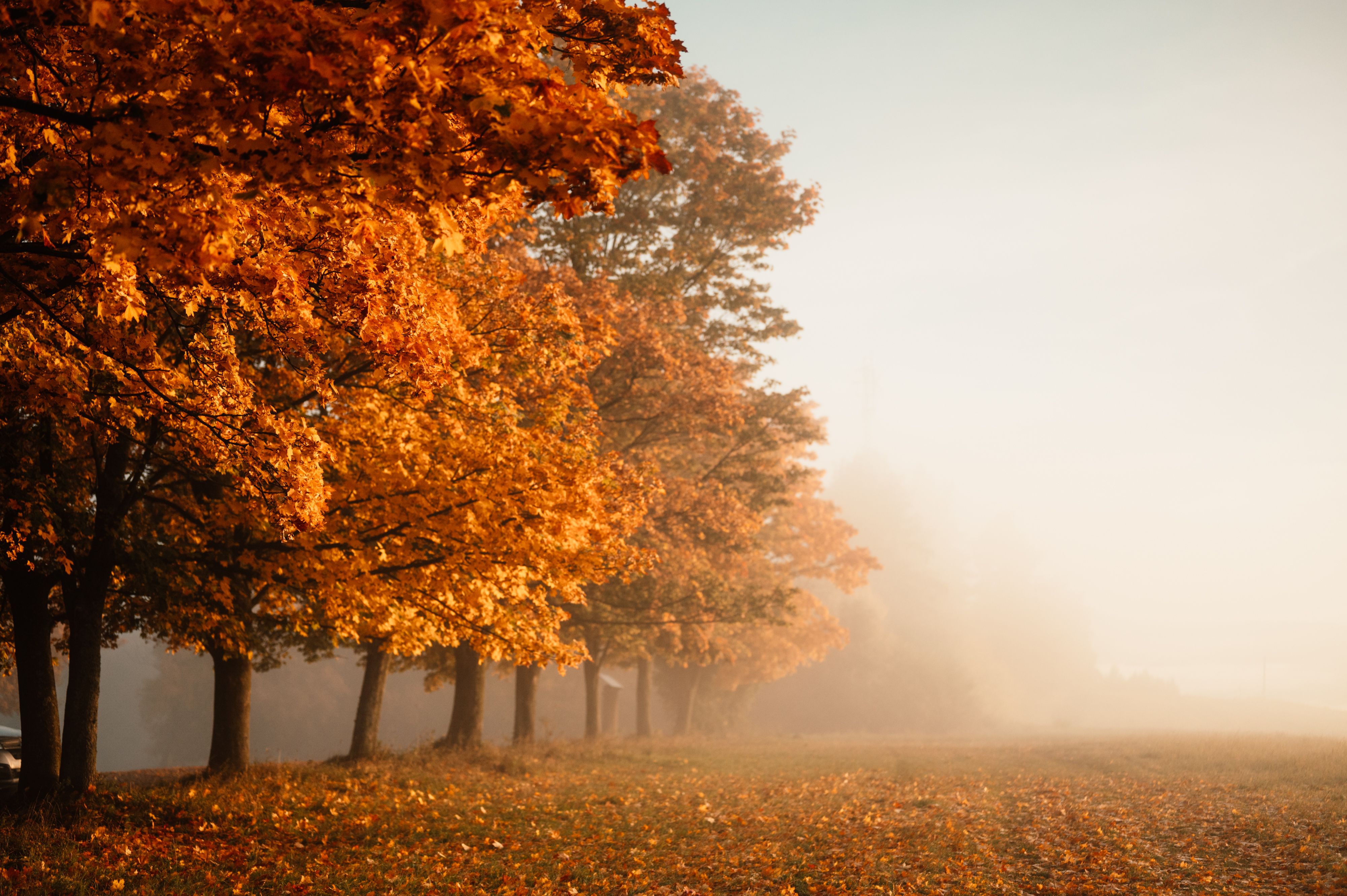 Market Perspectives - October 2025