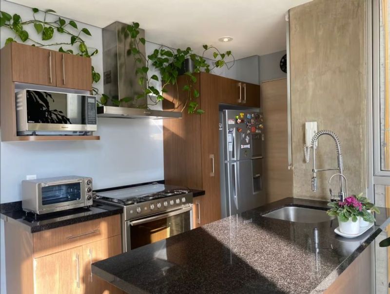 Departamento San Luis Potosí, fotografía 4