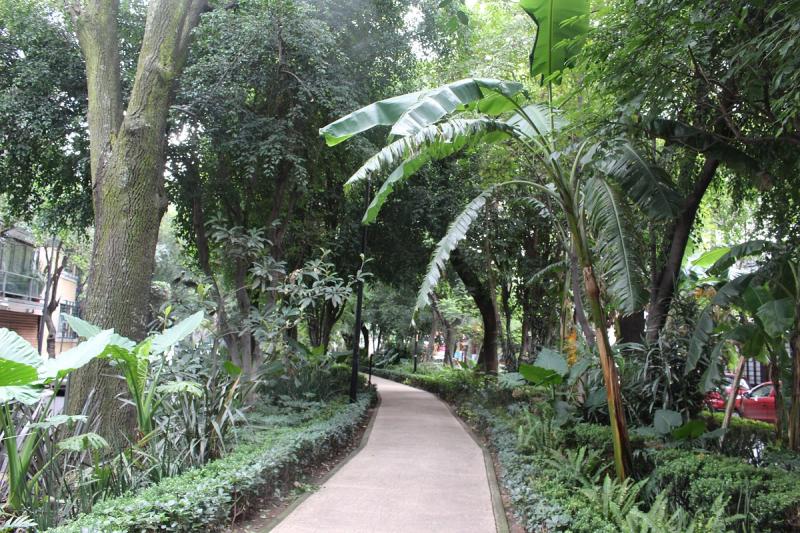 Colonia Condesa