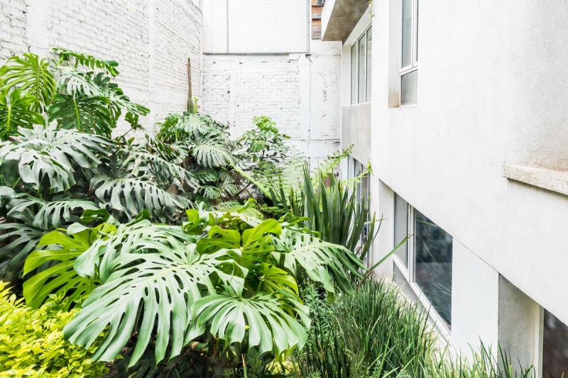 Departamento Sinaloa, Roma