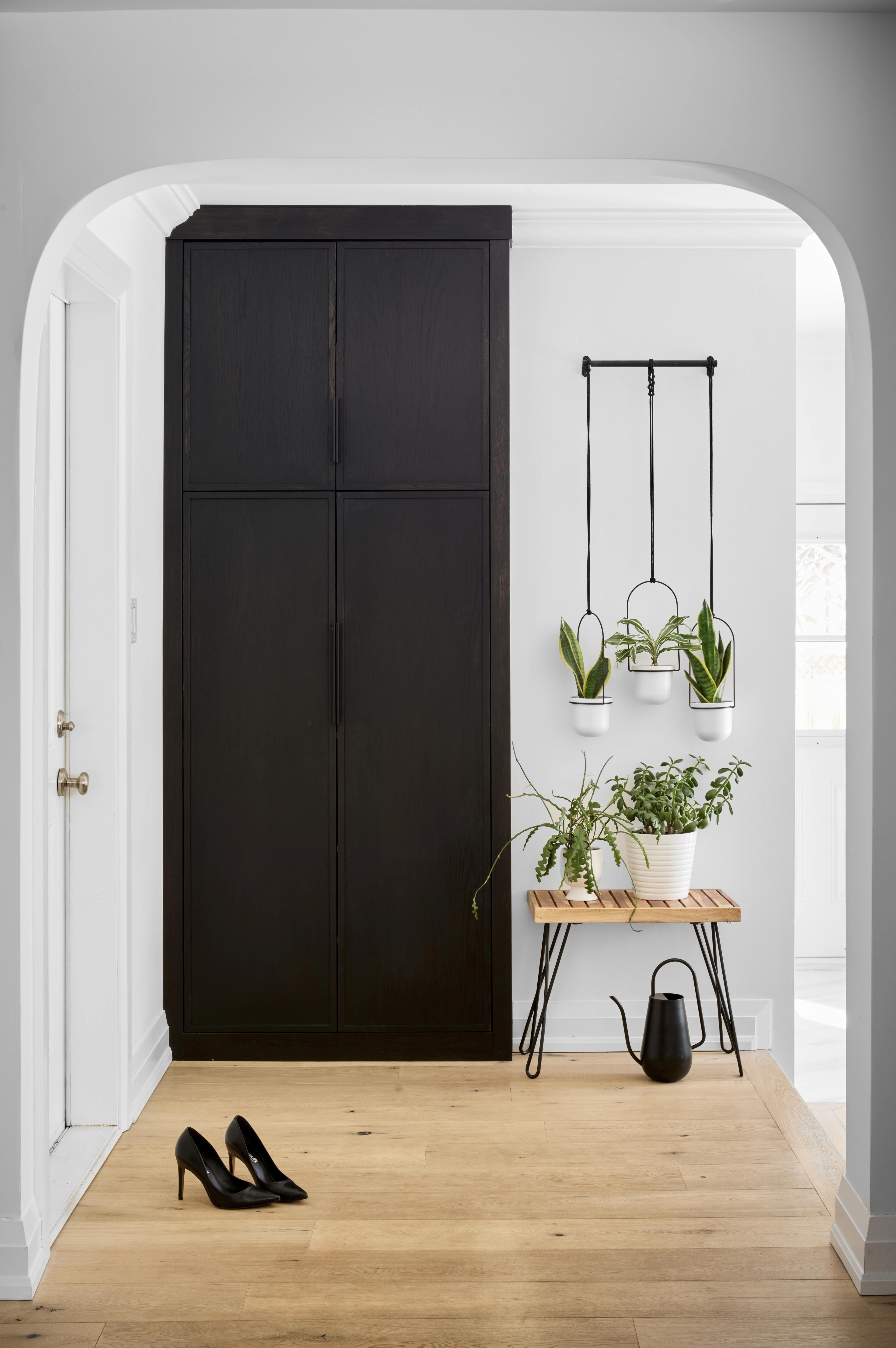 Hall detail with plants and dark cabinetry