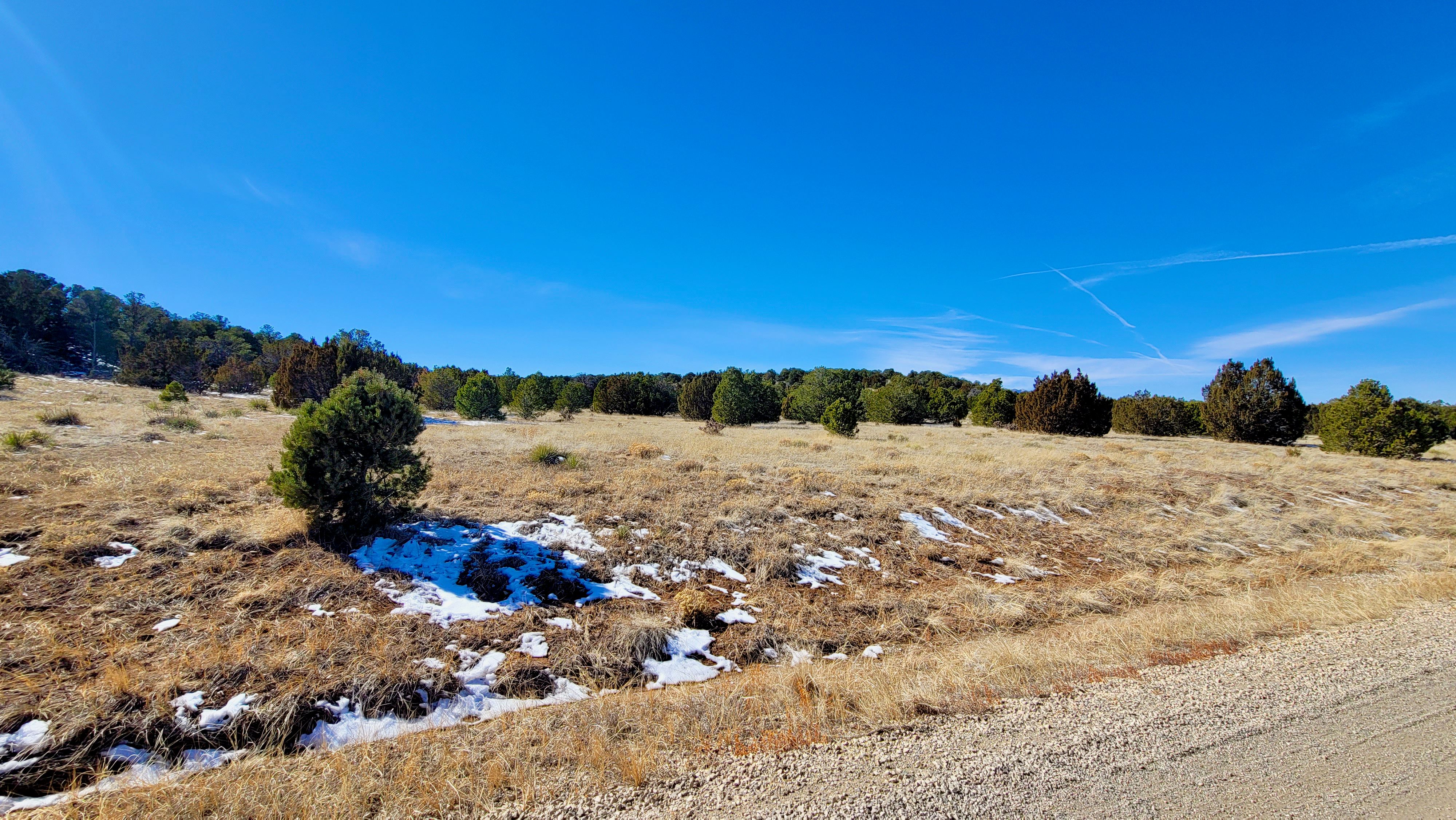 35.31 Acre Ranch with Unmatched Mountain Views | Ashbrook Land Co