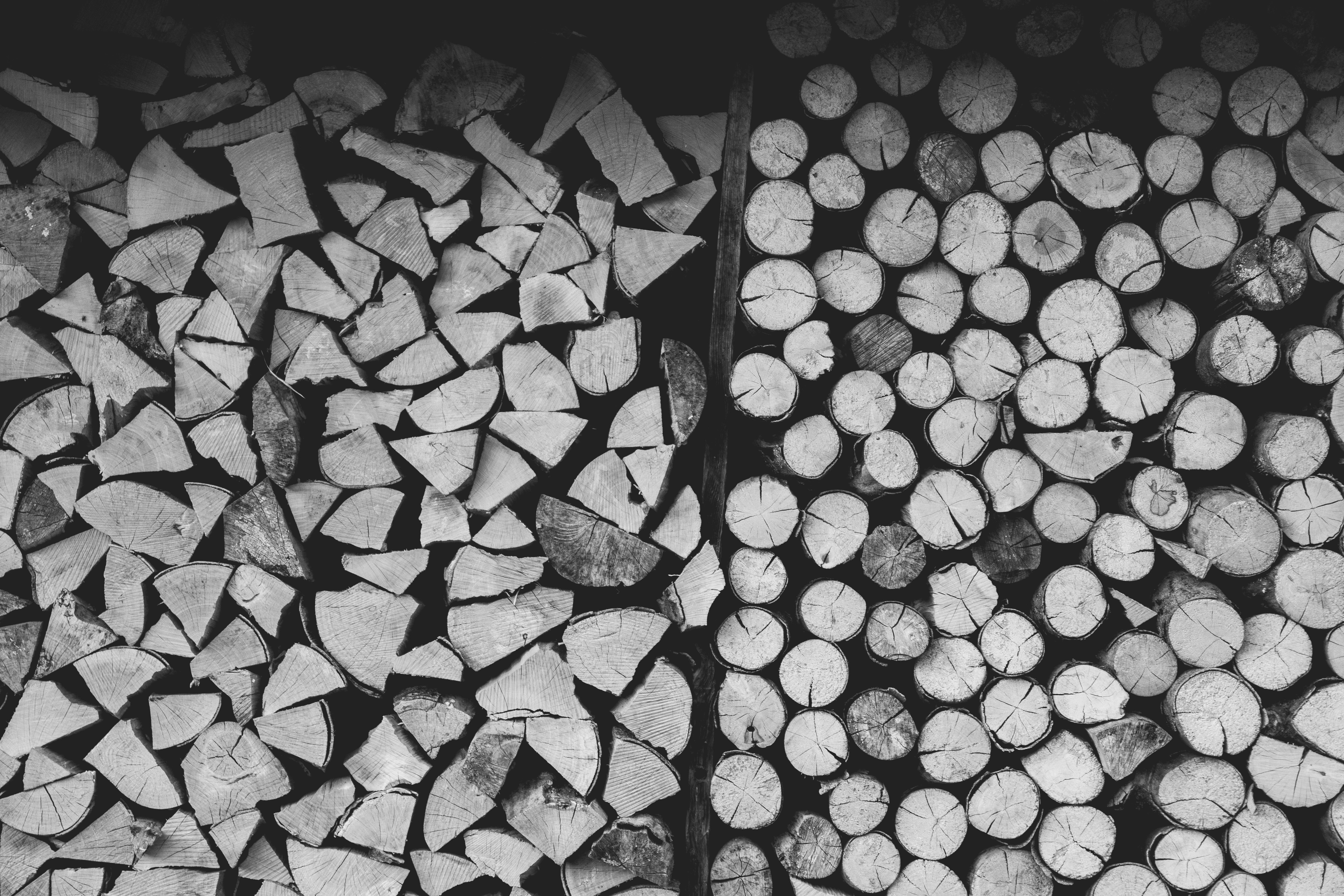 Image of Triangles and circles in a firewood stack by Dan Burton by Unsplash