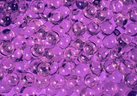 Violeta