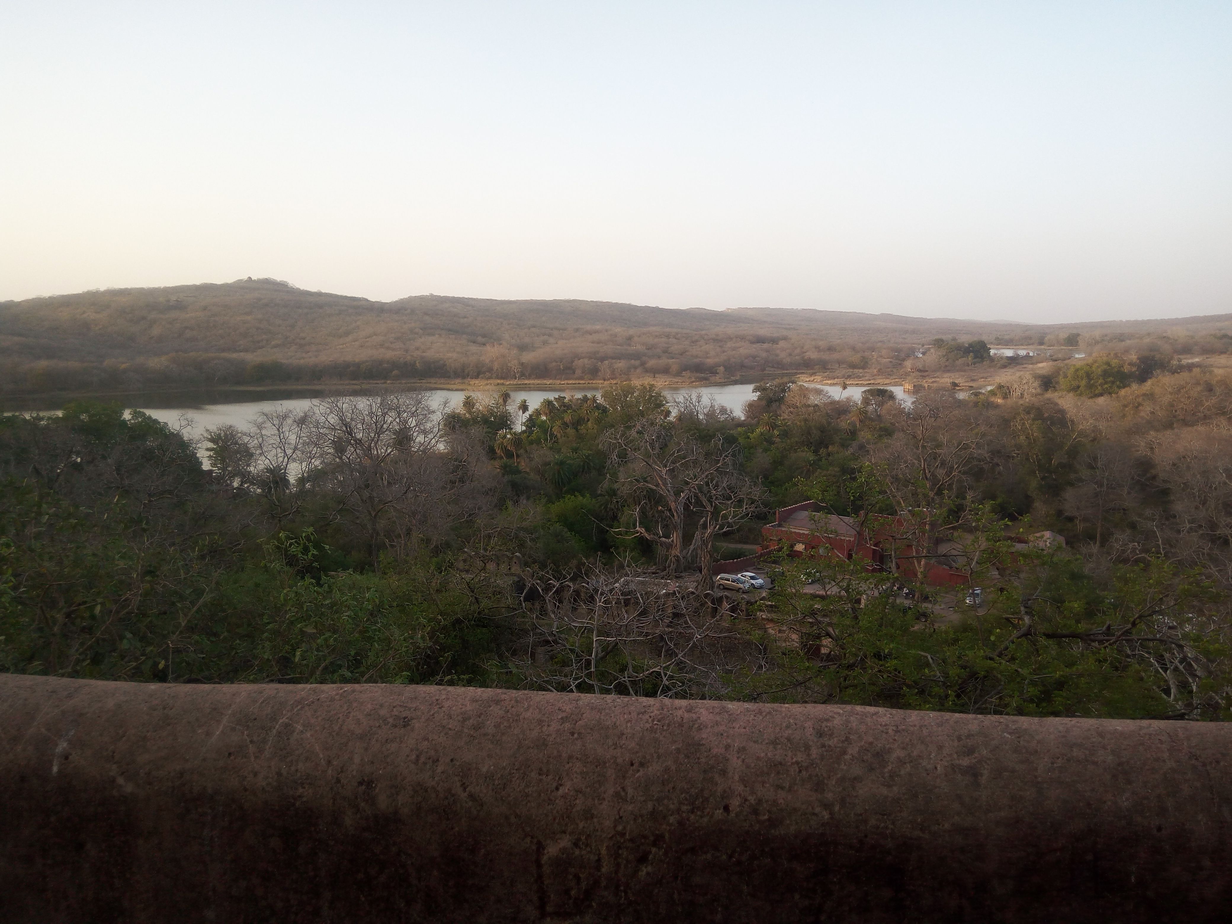 Ranthambore Safari: Jeep vs Canter — Which Vehicle Should You Book?
