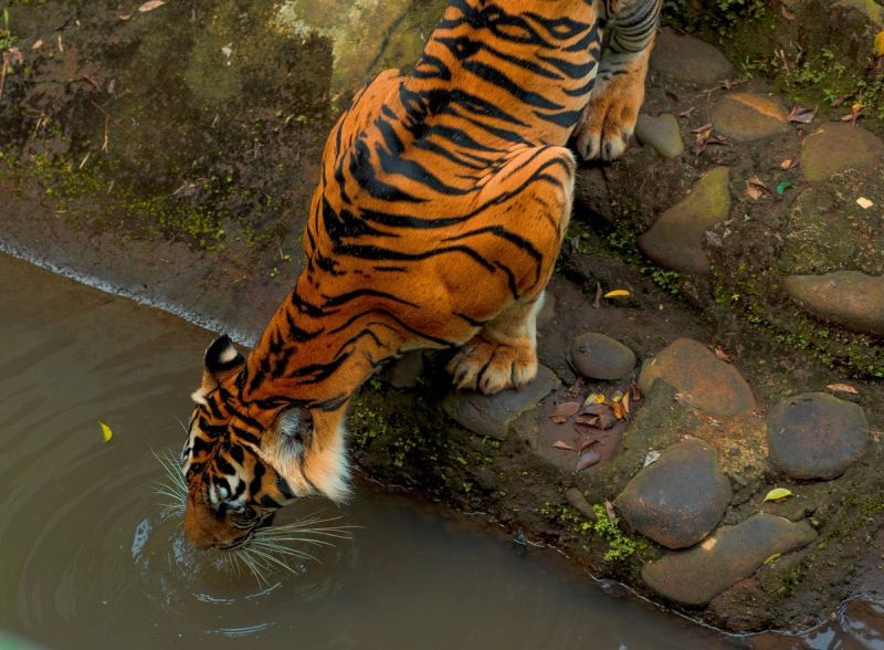At the Water