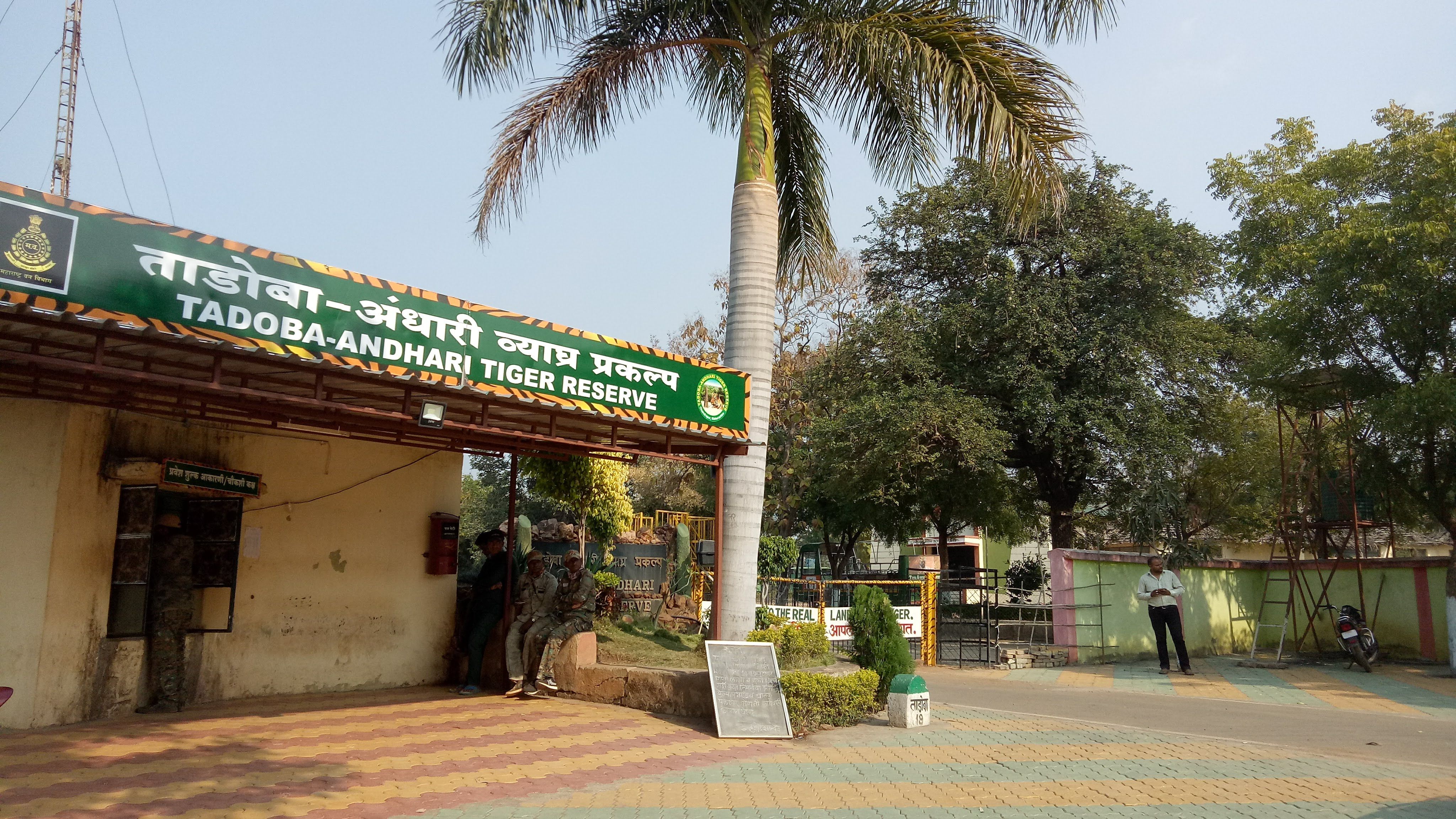 Where to Stay Near Tadoba: Moharli and Kolara Lodges