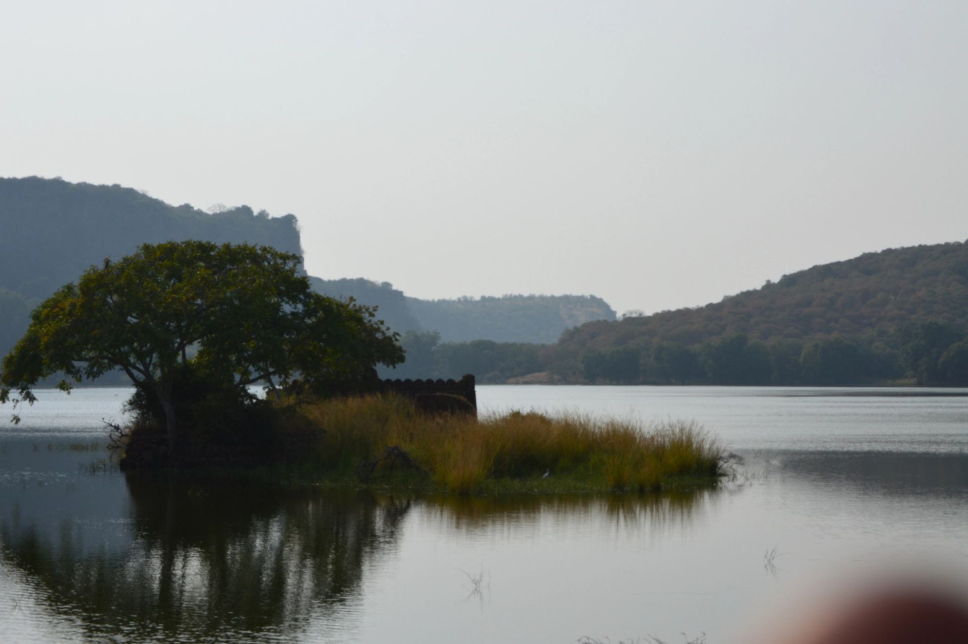 A Morning in Zone 3: One Safari, As It Happened
