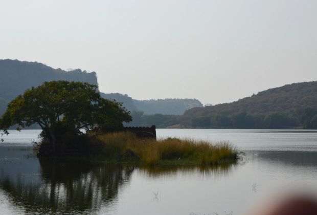 A Morning in Zone 3: One Safari, As It Happened