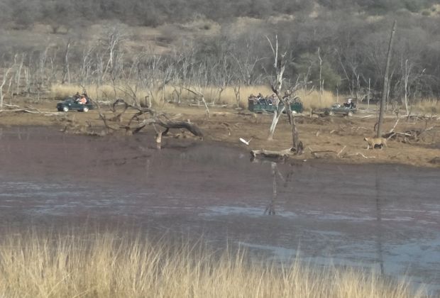 Best Time to Visit Ranthambore National Park: A Season-by-Season Guide