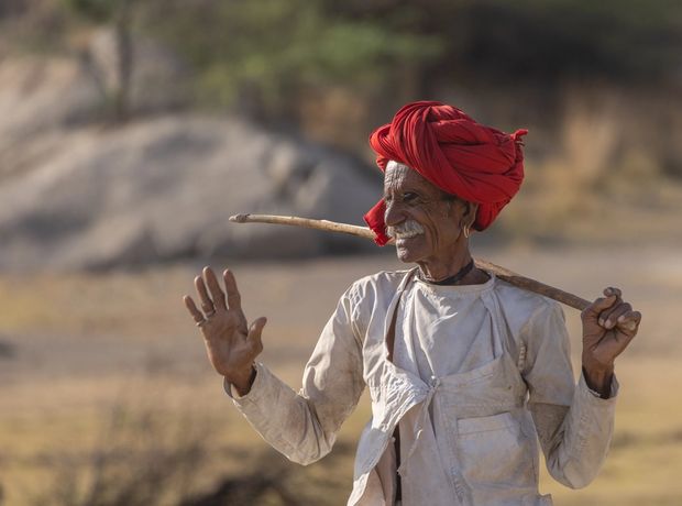 Hills & Herders