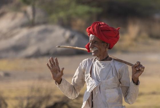 Hills & Herders