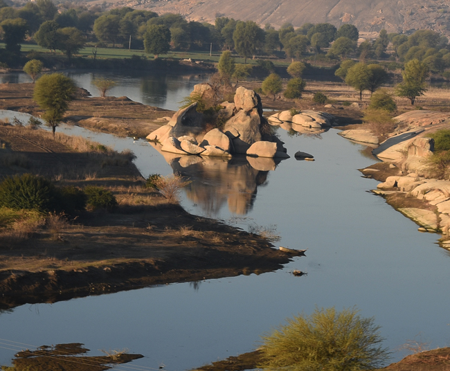 Jawai Leopard Safari