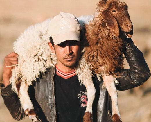 Rabari shepherd